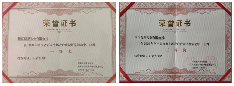 榮譽(yù) | “百家牛場青貯質(zhì)量評鑒活動”花花牛新蔡瑞亞牧業(yè)、河南合源乳業(yè)分別榮獲一、三等獎