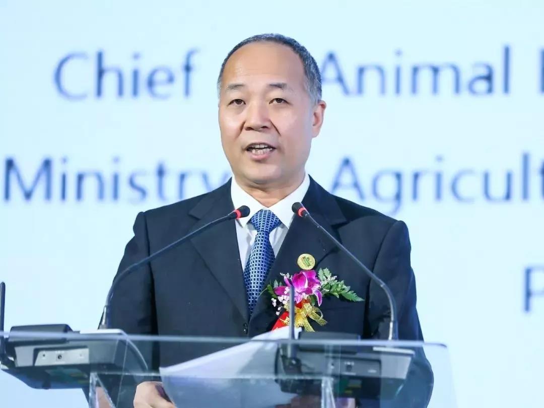 SDDDC走進(jìn)河南，看看花花牛的國(guó)際范兒！