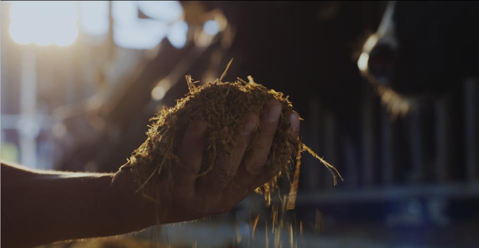 又雙叒叕獲獎(jiǎng)啦！花花牛榮獲“乳品質(zhì)量安全管理 優(yōu)秀企業(yè)”