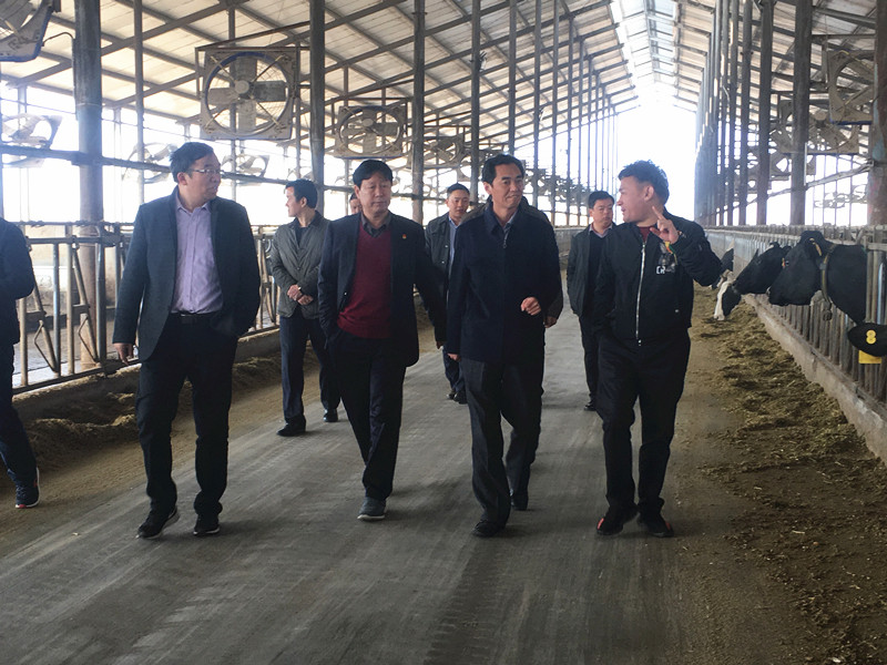 封丘縣縣長王獻(xiàn)臣一行蒞臨 花花牛集團(tuán)養(yǎng)殖、乳品事業(yè)部參觀調(diào)研